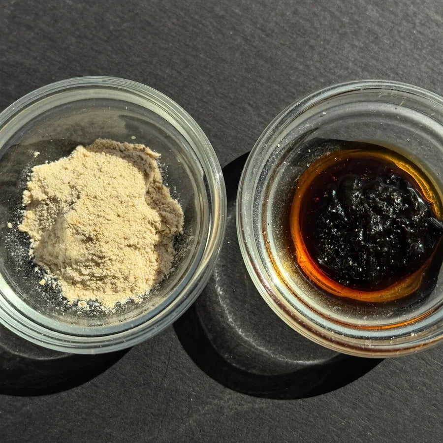 Polvo de ajo junto a extracto de ajo concentrado en dos platillos iguales